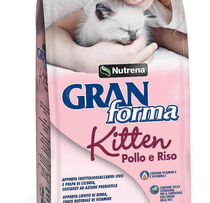 GRANforma-Kitten