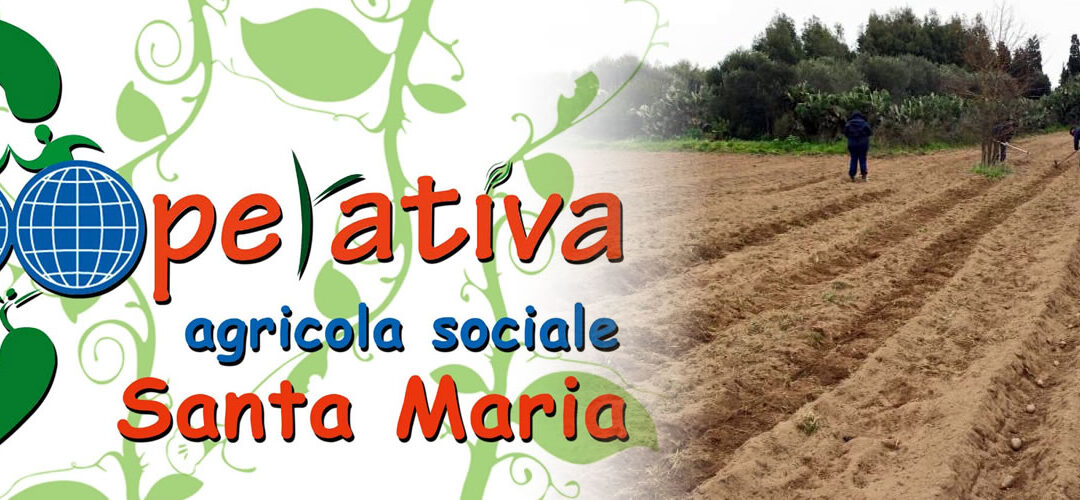 coopbanner